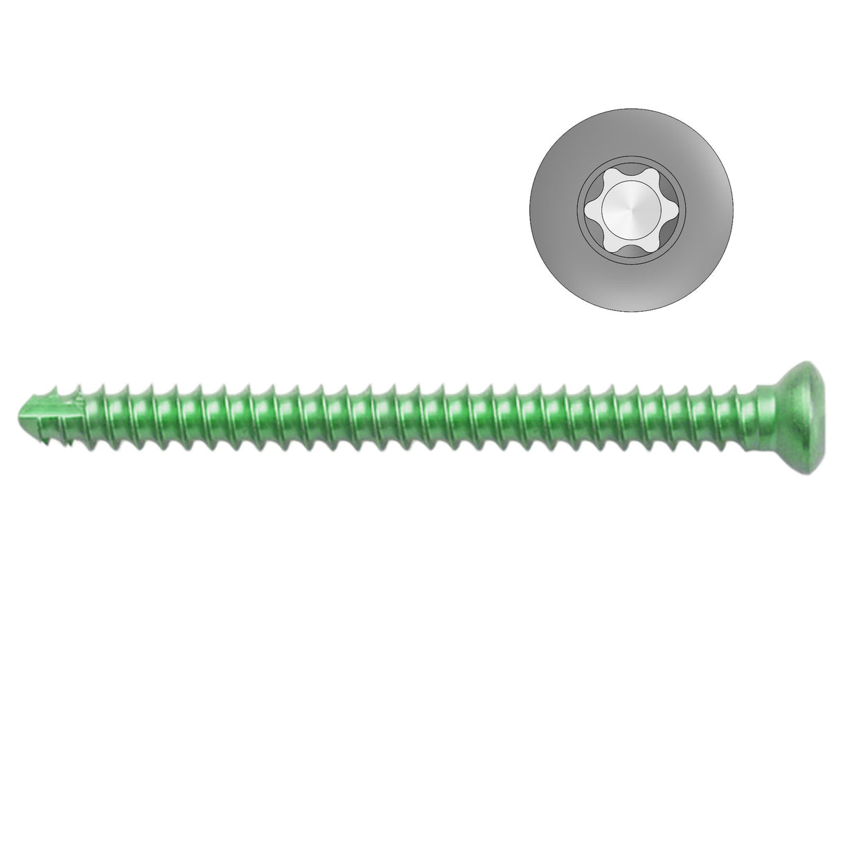 1.5mm Titanium Self-tapping Cortical Screws - Star Drive (German Import) - Surgical SystemsTitanium Screws