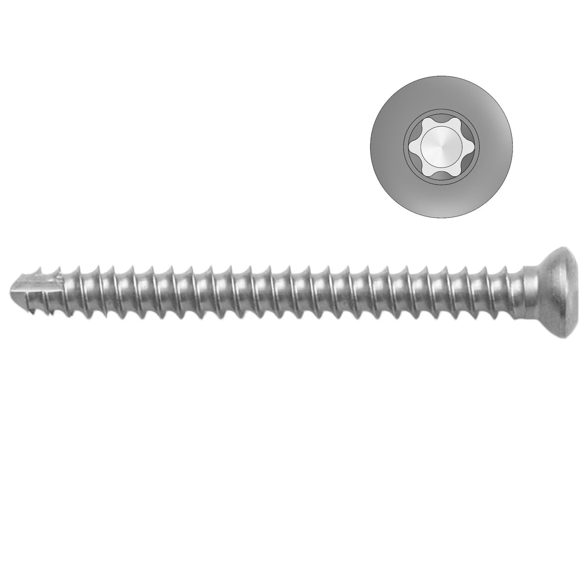 2.4mm Self-tapping Cortical Screws - Star Drive - Stainless Steel (German Import) - Surgical SystemsCortical Screws