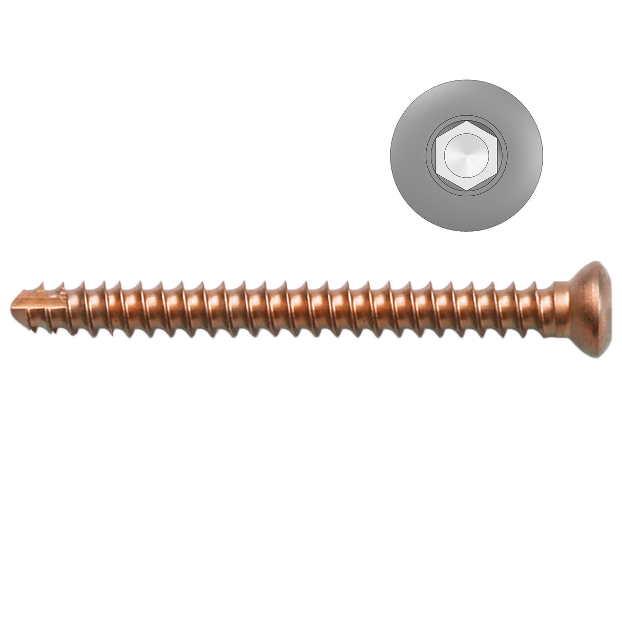 2.4mm Titanium Self-tapping Cortical Screws - Hexagonal Head (German Import) - Surgical SystemsTitanium Screws