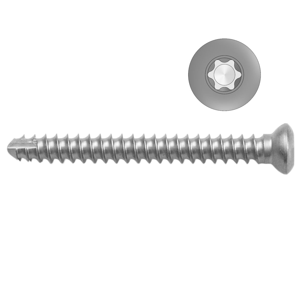 2.7mm Self-tapping Cortical Screws - Star Drive - Stainless Steel (German Import) - Surgical SystemsCortical Screws