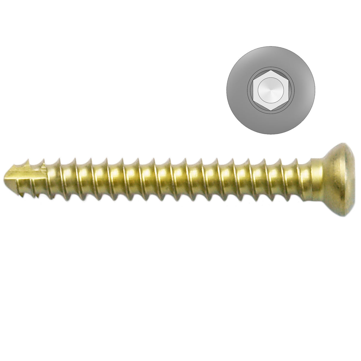 3.5mm Titanium Self-tapping Cortical Screws - Hexagonal Head (German Import) - Surgical SystemsTitanium Screws