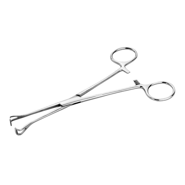 Unfinished Babcock Tissue Forceps 200mm – Economy surgical instrument by Rhein Medical for veterinary and medical use