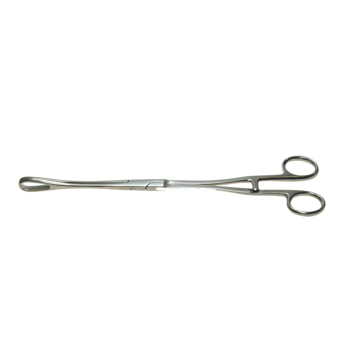 Miss Feakes Whelping Forceps - Surgical SystemsWhelping Forceps