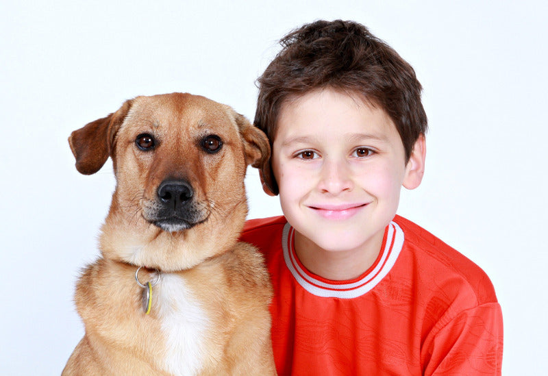 Minor Immediate Effects of a Dog on Children’s Reading Performance