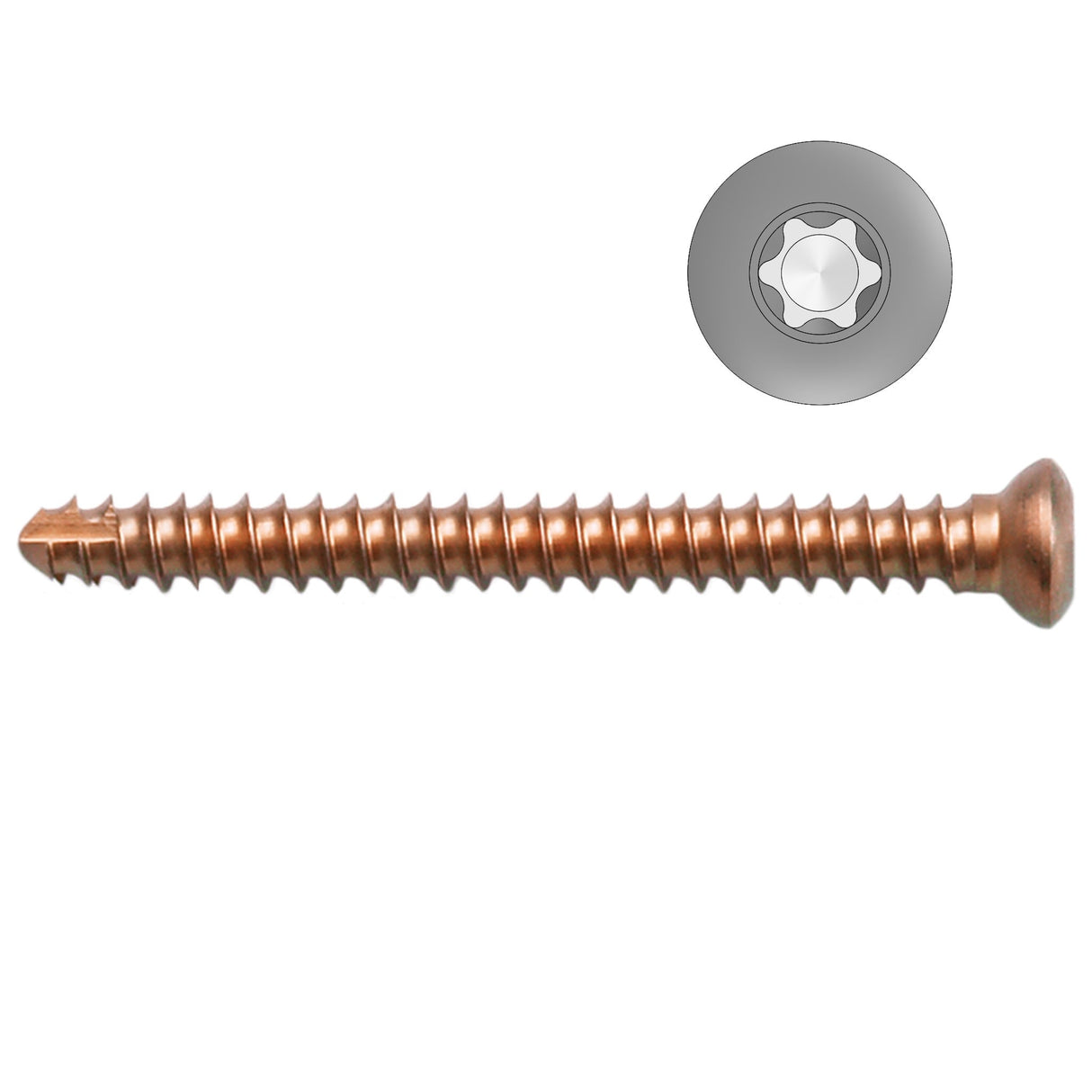 2.4mm Titanium Self-tapping Cortical Screws - Star Drive (German Import) - Surgical SystemsTitanium Screws