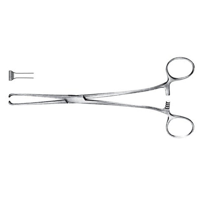 Allis Intestinal Grasping Forceps - 5x6 teeth 200mm (Economy Range) - Surgical SystemsAllis Tissue Forceps