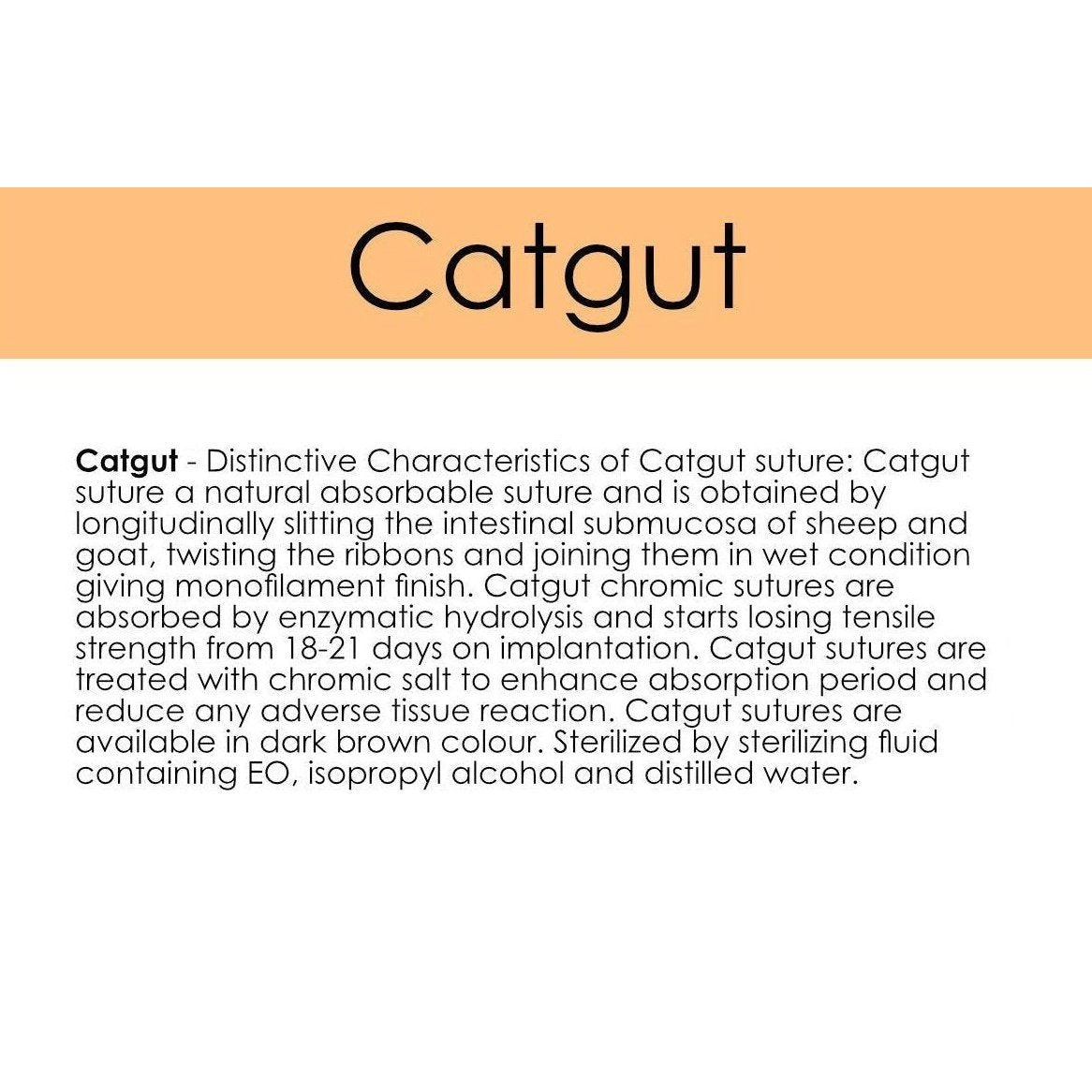 Cartgut Catgut Sutures – Natural Absorbable – Surgical Systems