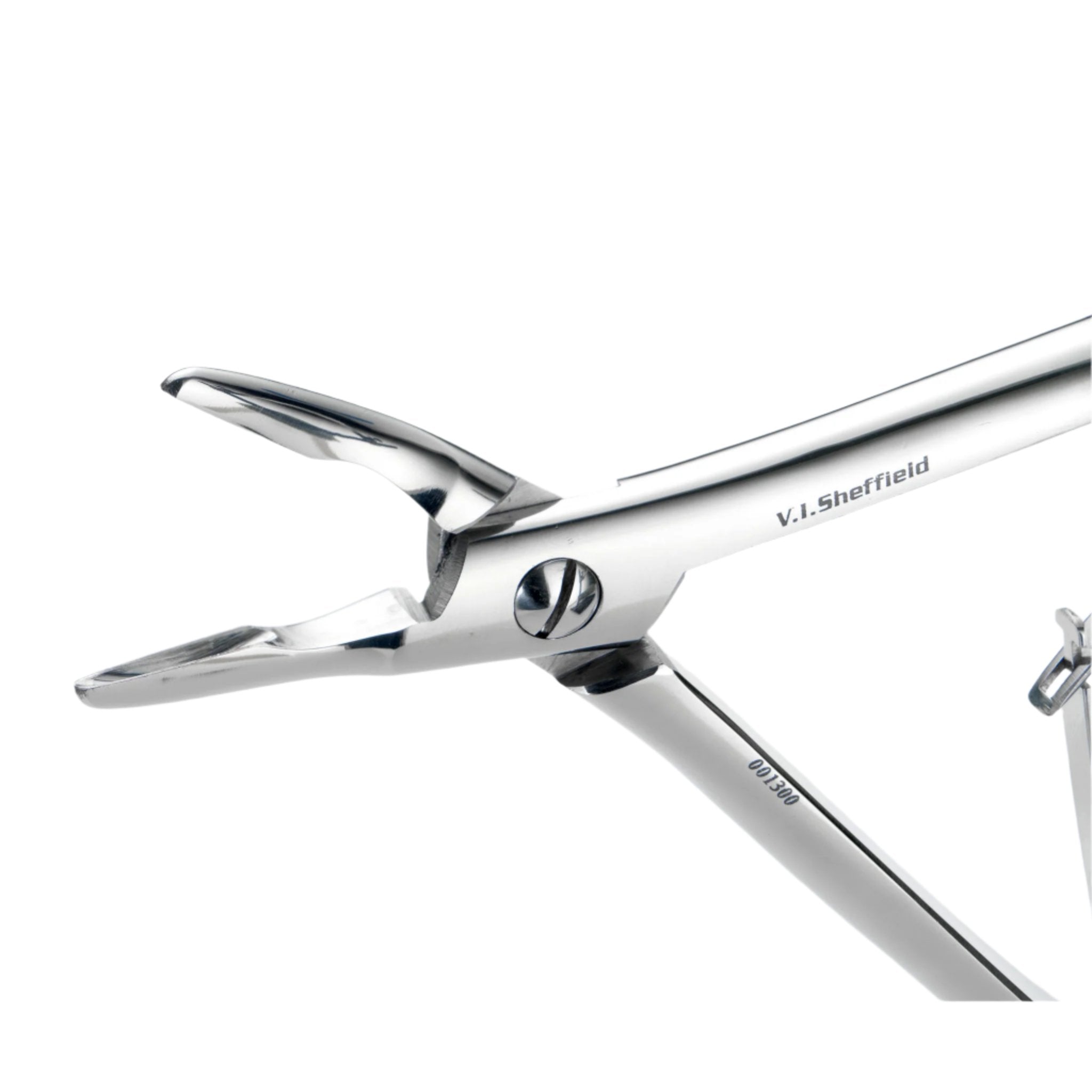 Small Curved Rongeurs 4mm Bite ??ç?? Premium Surgical Instrument ...