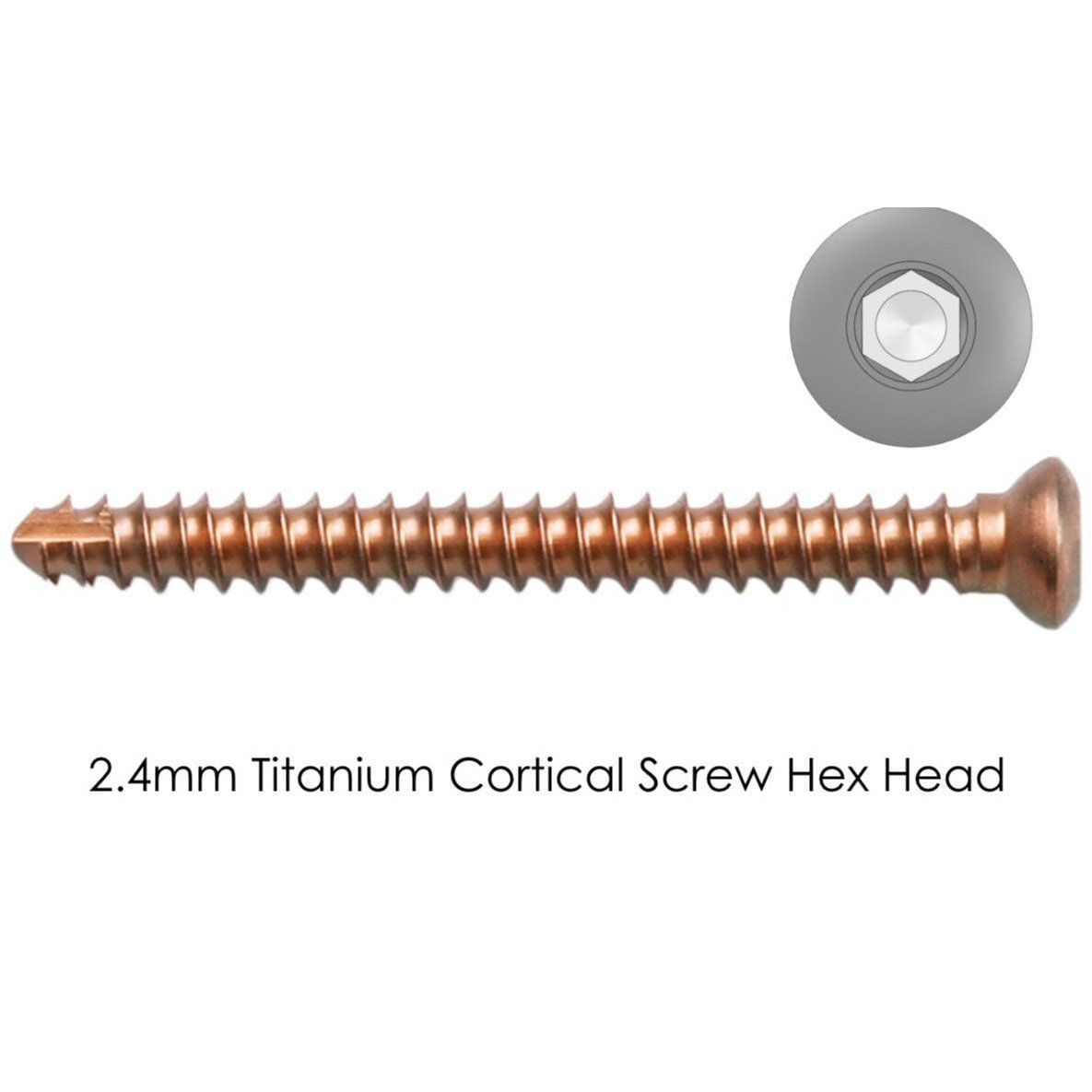 TTA Rapid Cortical Self-tapping Titanium Screws - Surgical SystemsCortical Screws Titanium