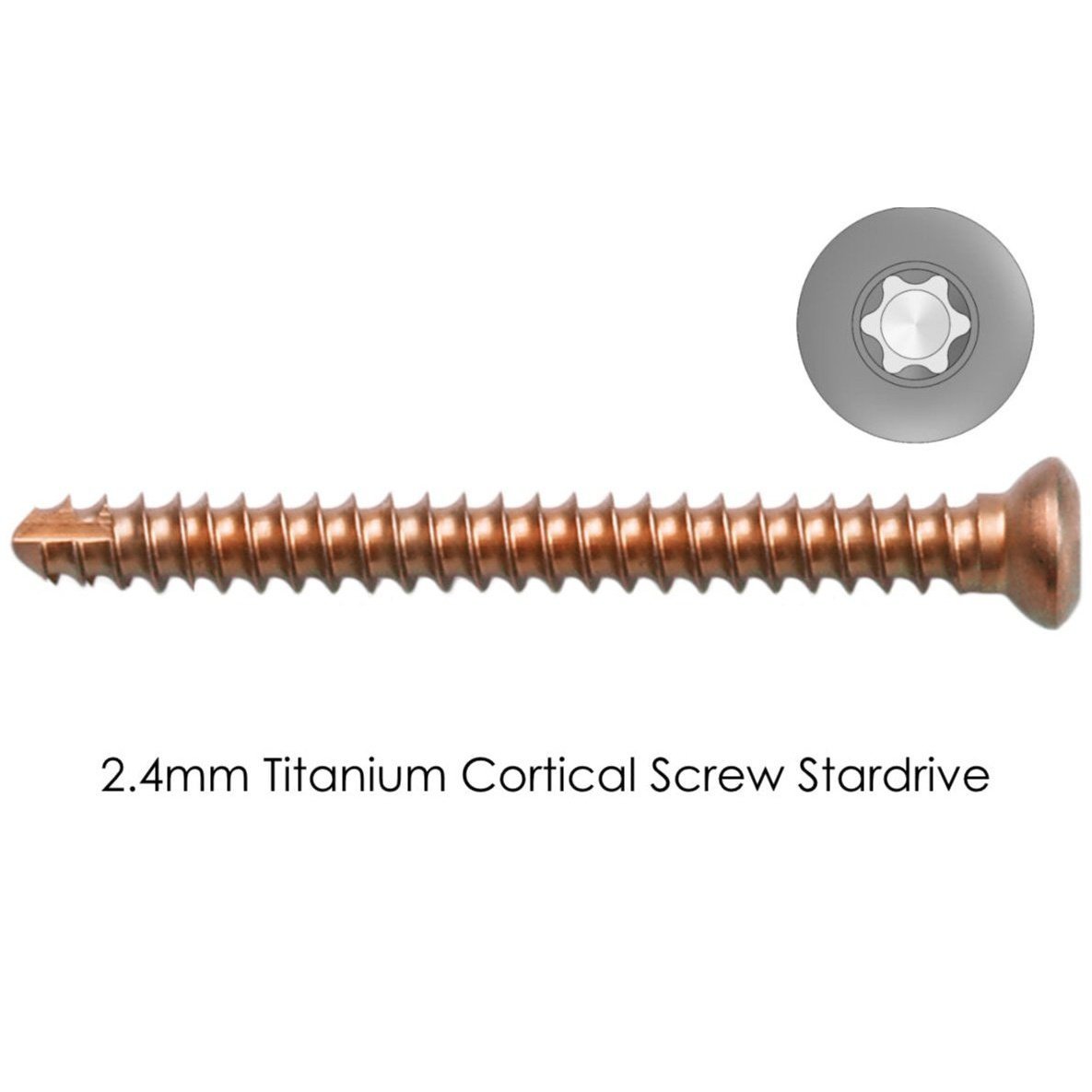 TTA Rapid Cortical Self-tapping Titanium Screws - Surgical SystemsCortical Screws Titanium