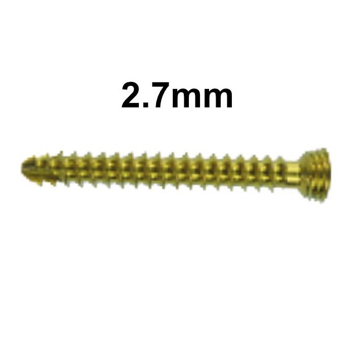 LeiLOX Locking Cortical Screw 2.7mm - Titanium